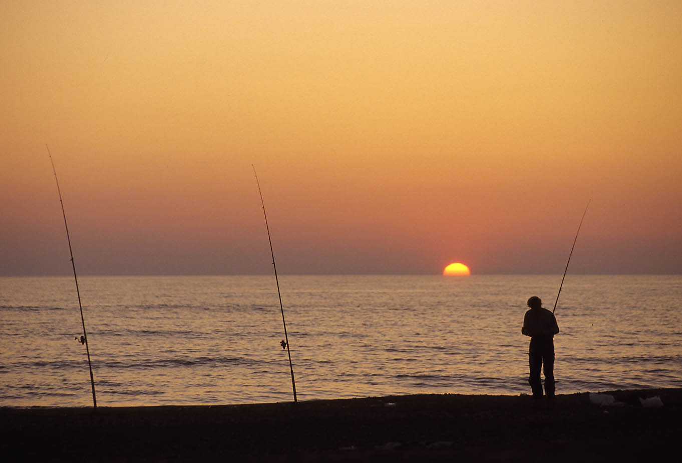 ITALIA, TOSCANA, COSTA DEGLI ETRUSCHI, Castagneto Carducci (LI): Marina di Donoratico, tramonto. ITALIA, TOSCANA, COSTA DEGLI ETRUSCHI, Castagneto Carducci (LI): Marina di Donoratico, tramonto.